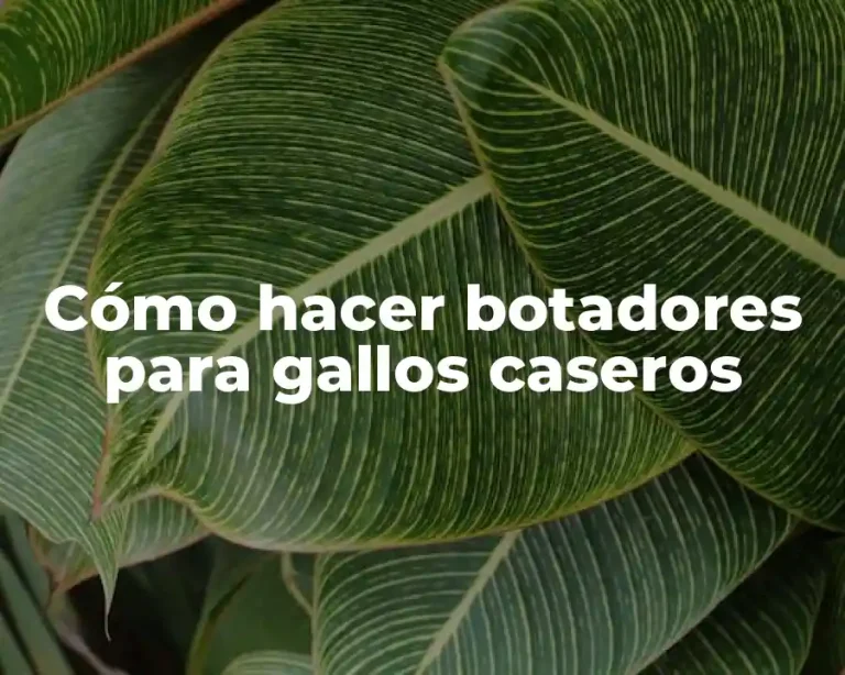 Cómo hacer botadores para gallos caseros