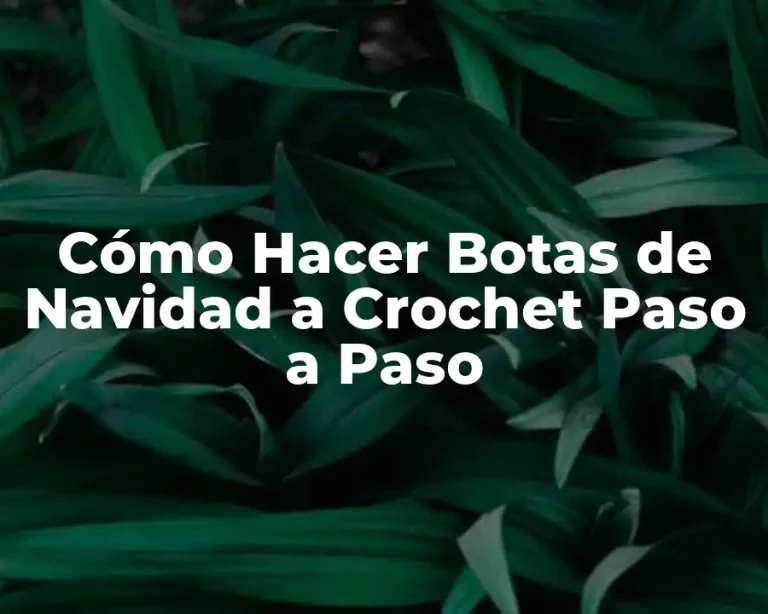 Cómo Hacer Botas de Navidad a Crochet Paso a Paso