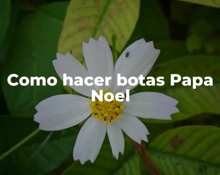 Como hacer botas Papa Noel