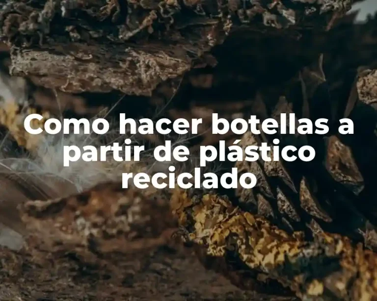 Como hacer botellas a partir de plástico reciclado