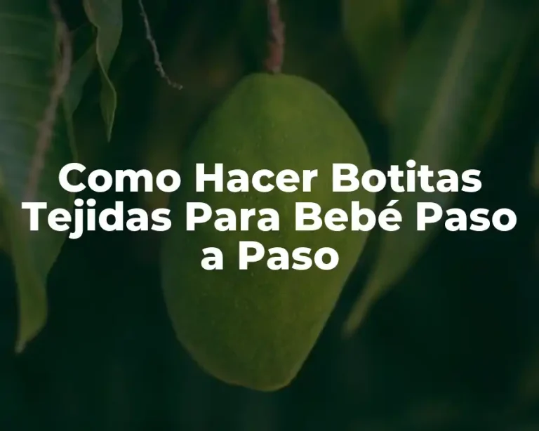Como Hacer Botitas Tejidas Para Bebé Paso a Paso