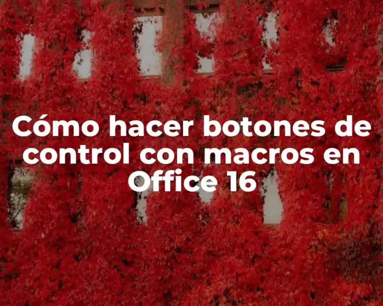 Cómo hacer botones de control con macros en Office 16