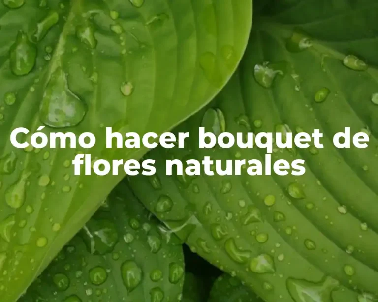 Cómo hacer bouquet de flores naturales