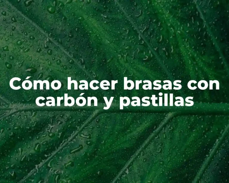 Cómo hacer brasas con carbón y pastillas
