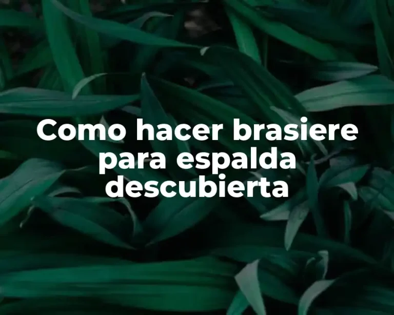 Como hacer brasiere para espalda descubierta