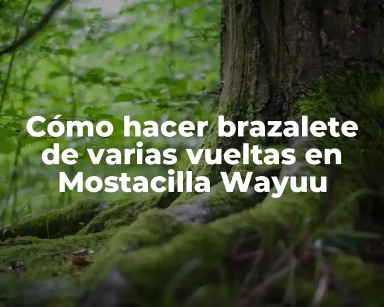 Cómo hacer brazalete de varias vueltas en Mostacilla Wayuu
