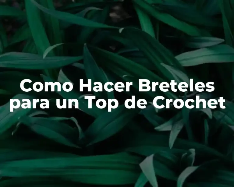 Como Hacer Breteles para un Top de Crochet