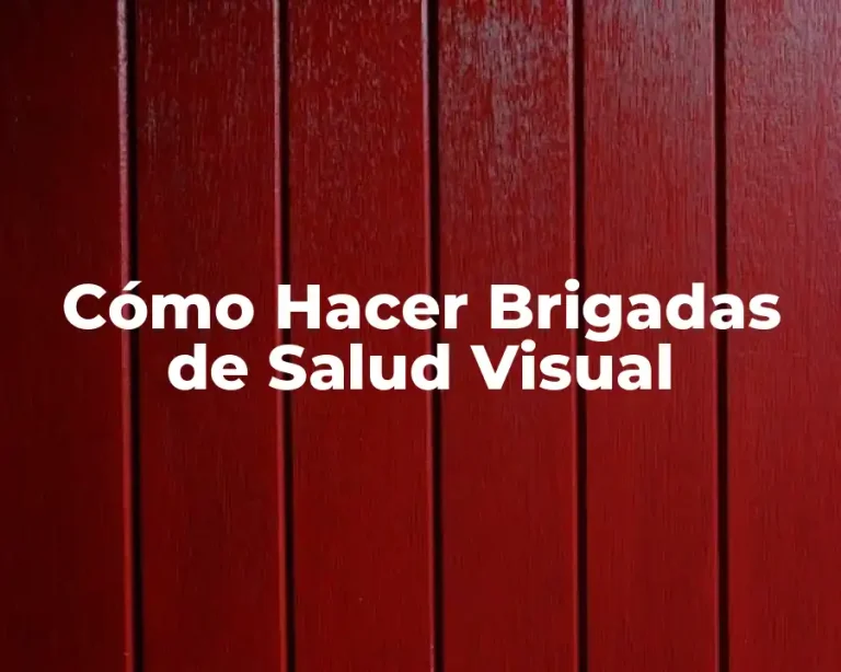 Cómo Hacer Brigadas de Salud Visual