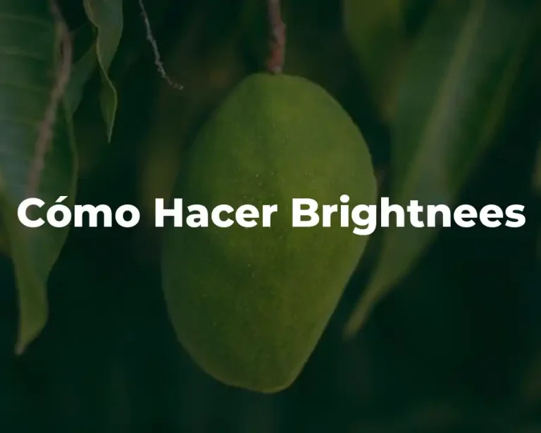 Cómo Hacer Brightnees