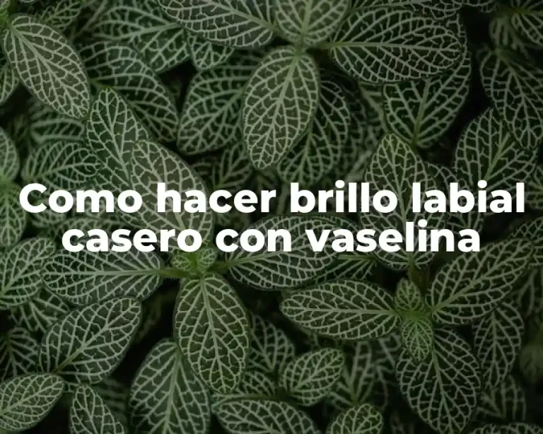 Como hacer brillo labial casero con vaselina