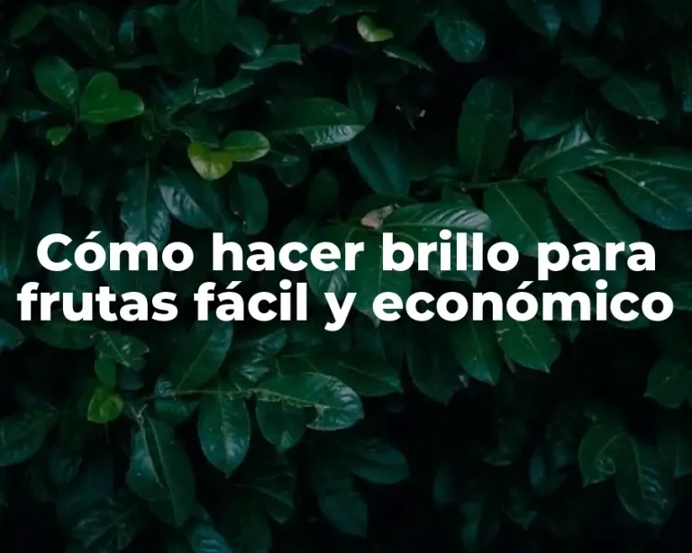 Cómo hacer brillo para frutas fácil y económico