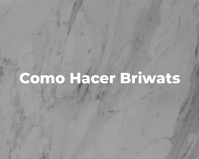 Como Hacer Briwats
