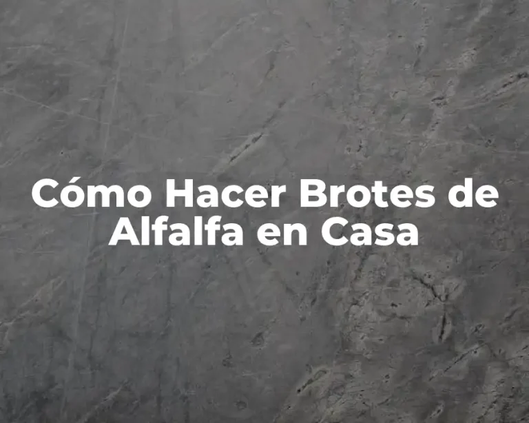 Cómo Hacer Brotes de Alfalfa en Casa