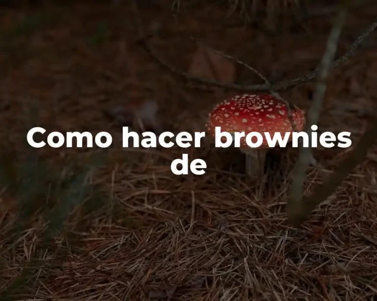 Como hacer brownies de