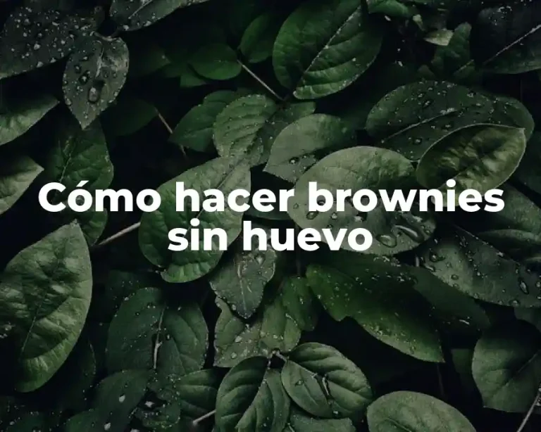 Cómo hacer brownies sin huevo