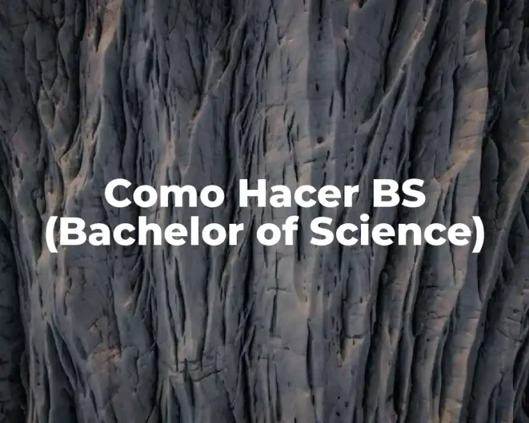 Como Hacer BS (Bachelor of Science)