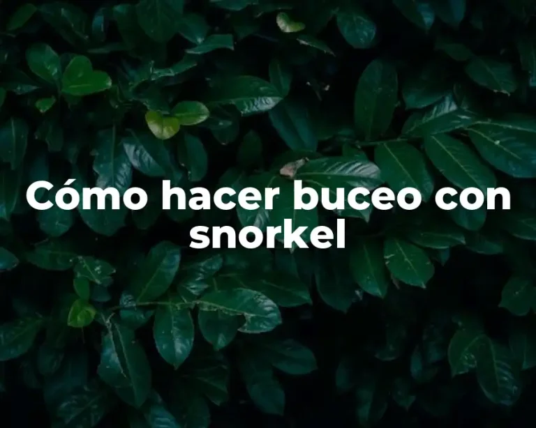 Cómo hacer buceo con snorkel