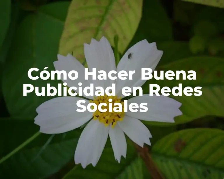 Cómo Hacer Buena Publicidad en Redes Sociales