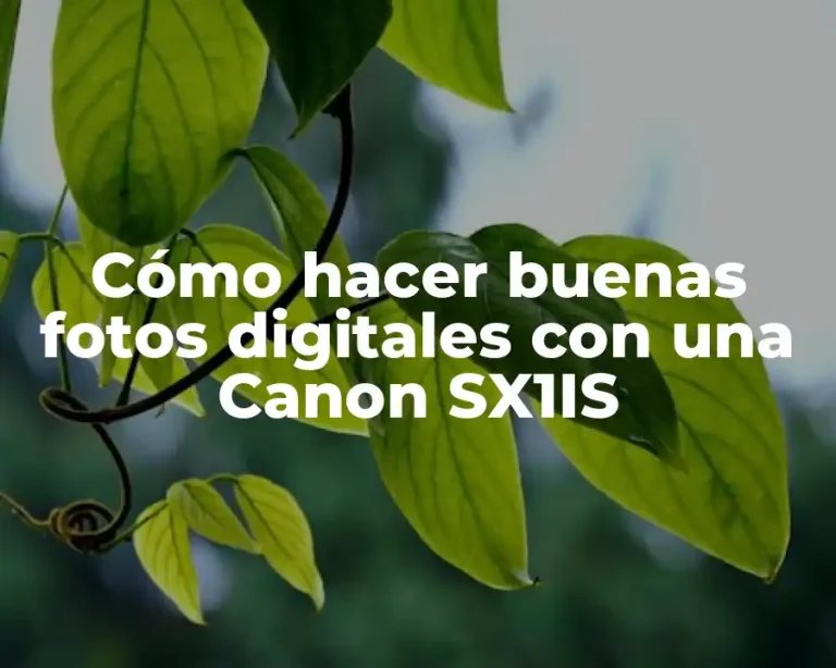 Cómo hacer buenas fotos digitales con una Canon SX1IS