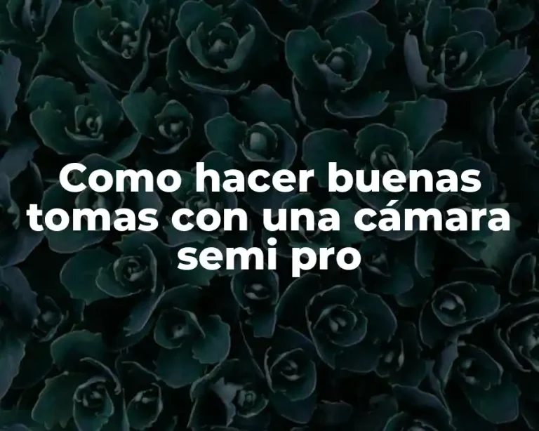 Como hacer buenas tomas con una cámara semi pro