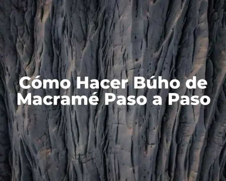 Cómo Hacer Búho de Macramé Paso a Paso