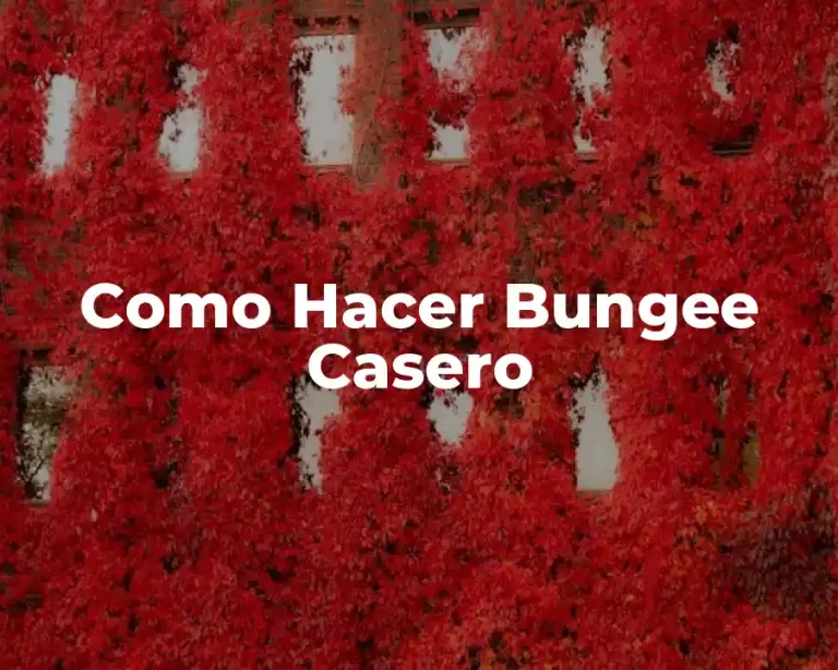 Como Hacer Bungee Casero