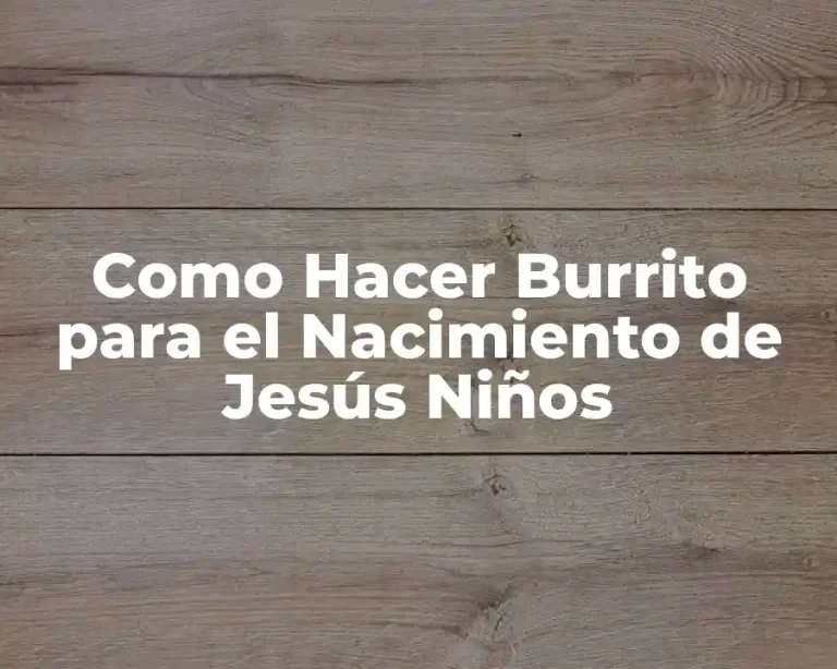Como Hacer Burrito para el Nacimiento de Jesús Niños