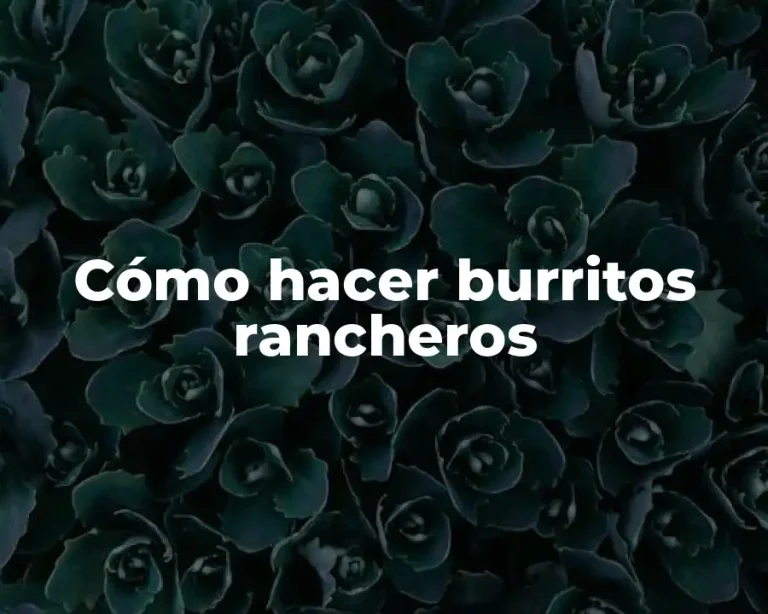 Cómo hacer burritos rancheros