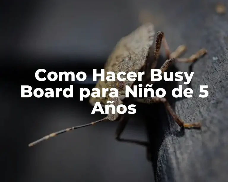 Como Hacer Busy Board para Niño de 5 Años