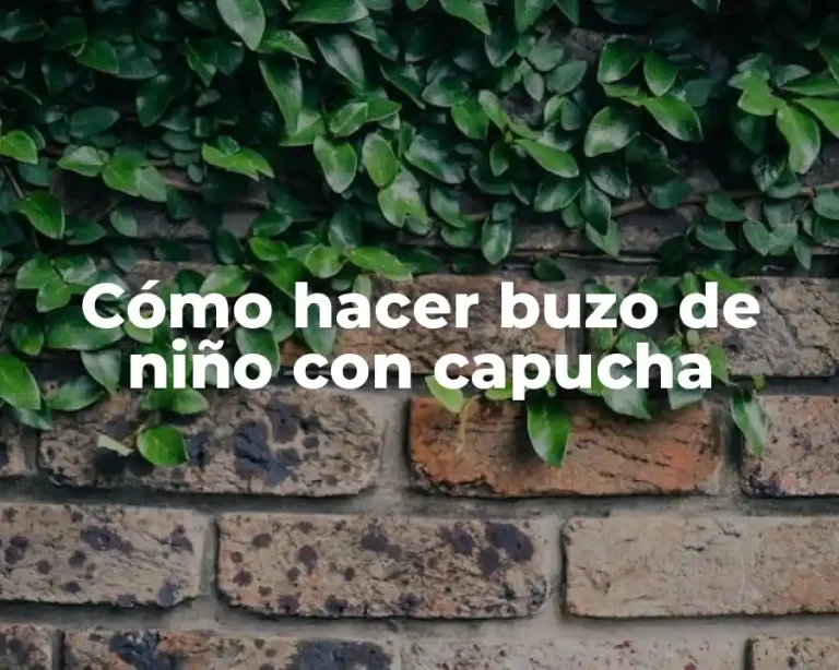 Cómo hacer buzo de niño con capucha