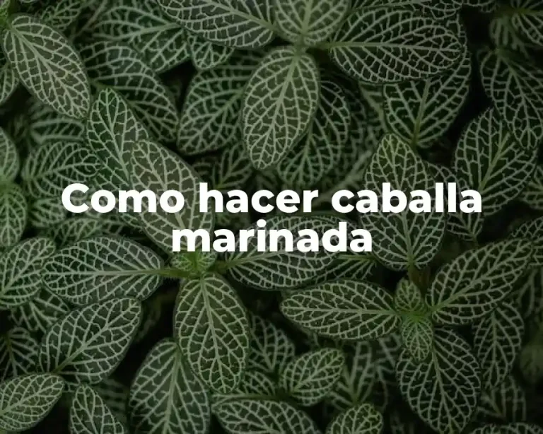 Como hacer caballa marinada