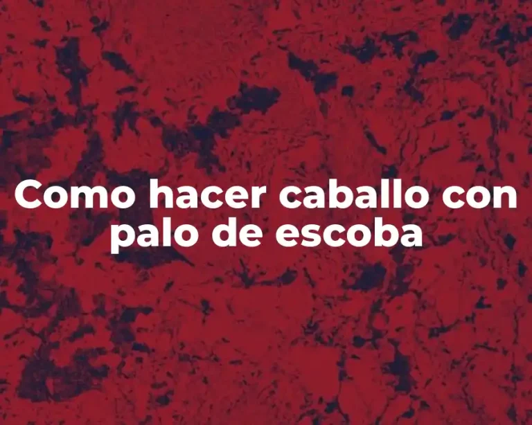 Como hacer caballo con palo de escoba