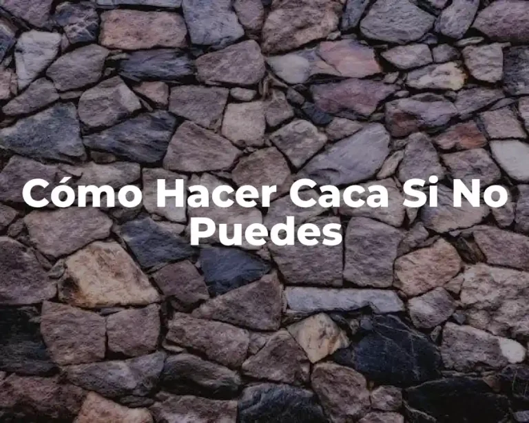 Cómo Hacer Caca Si No Puedes
