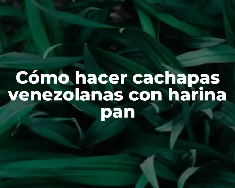 Cómo hacer cachapas venezolanas con harina pan