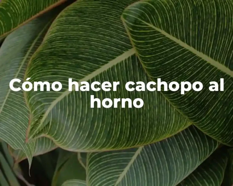 Cómo hacer cachopo al horno
