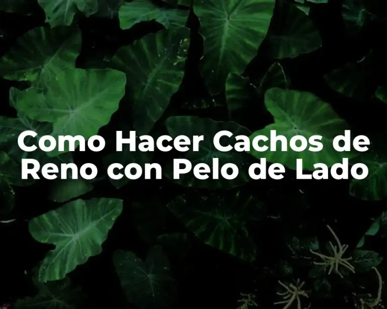 Como Hacer Cachos de Reno con Pelo de Lado