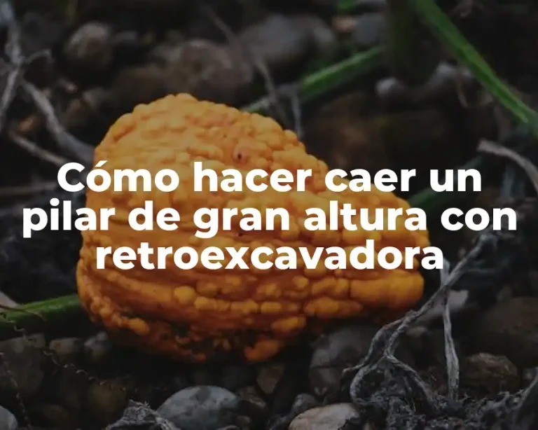 Cómo hacer caer un pilar de gran altura con retroexcavadora