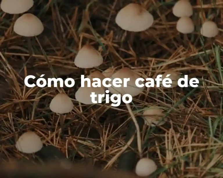 Cómo hacer café de trigo