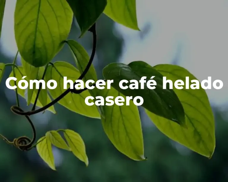 Cómo hacer café helado casero