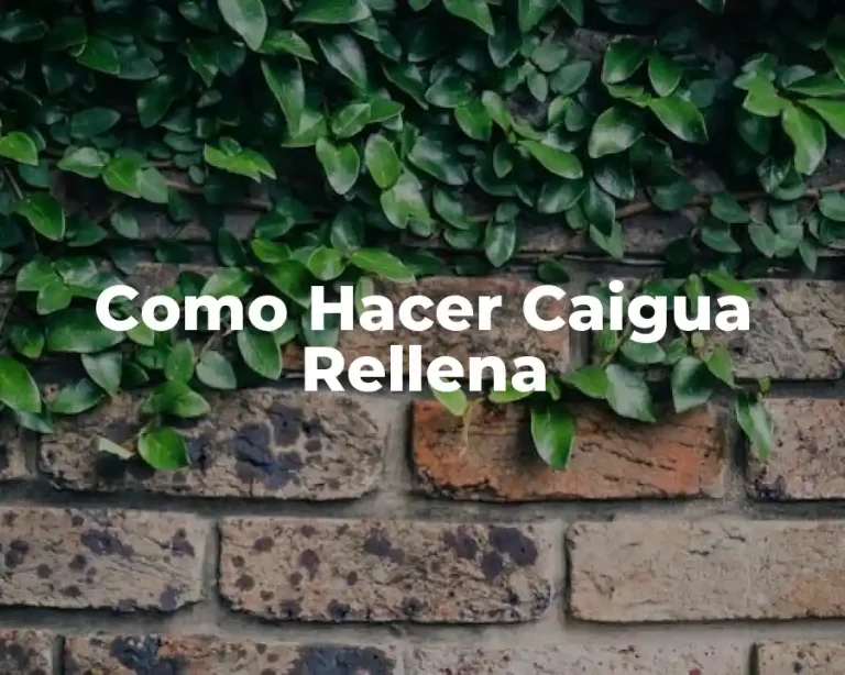 Como Hacer Caigua Rellena