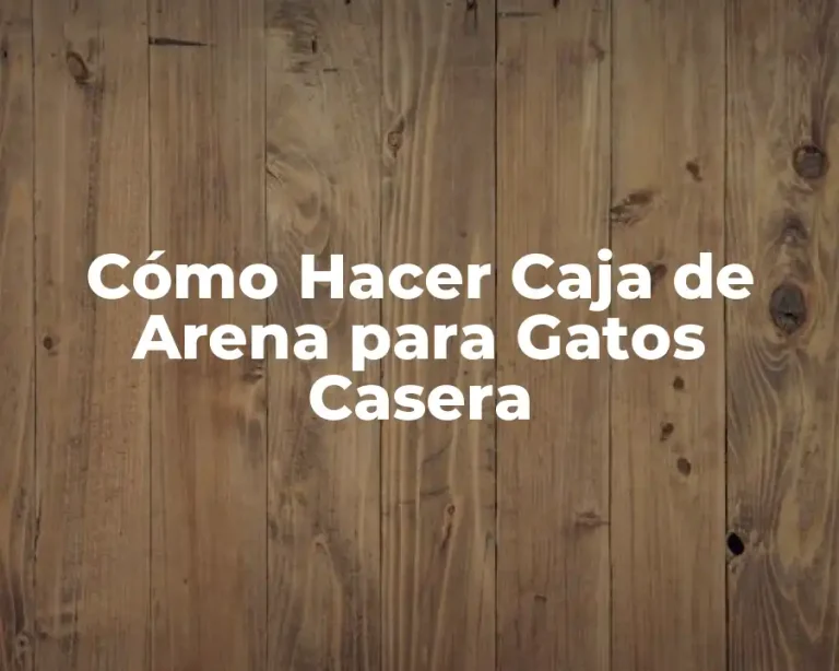 Cómo Hacer Caja de Arena para Gatos Casera