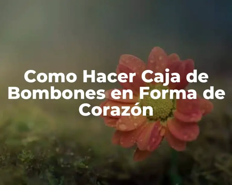 Como Hacer Caja de Bombones en Forma de Corazón