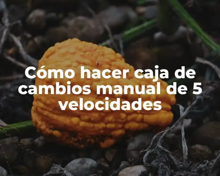 Cómo hacer caja de cambios manual de 5 velocidades