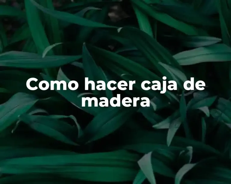 Como hacer caja de madera