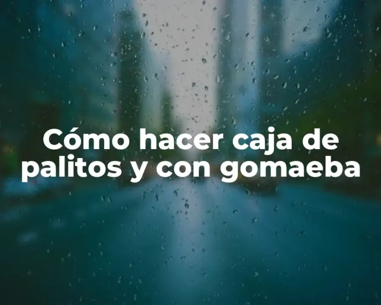 Cómo hacer caja de palitos y con gomaeba
