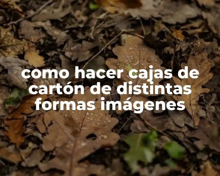 como hacer cajas de cartón de distintas formas imágenes