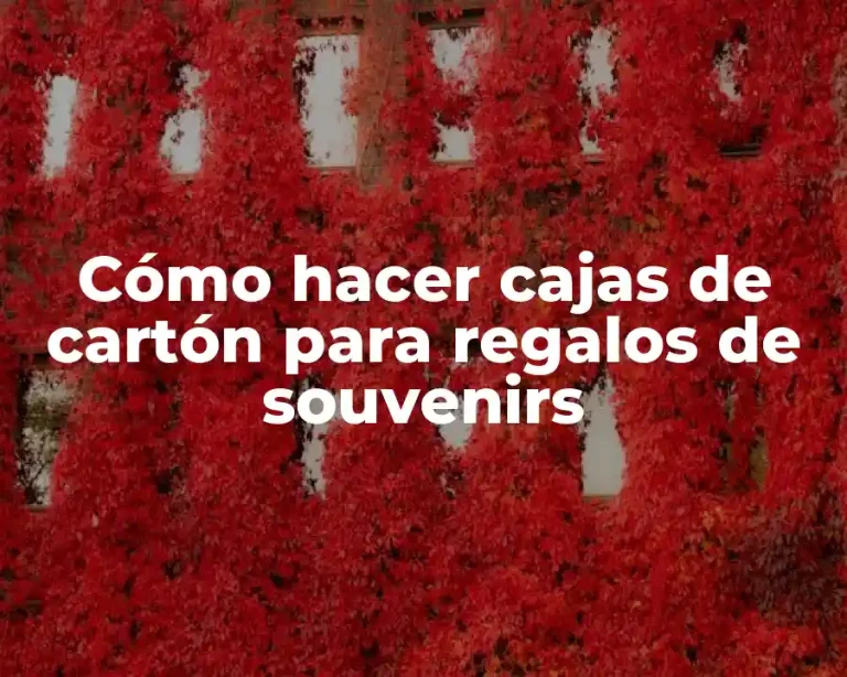Cómo hacer cajas de cartón para regalos de souvenirs