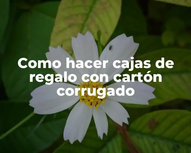 Como hacer cajas de regalo con cartón corrugado