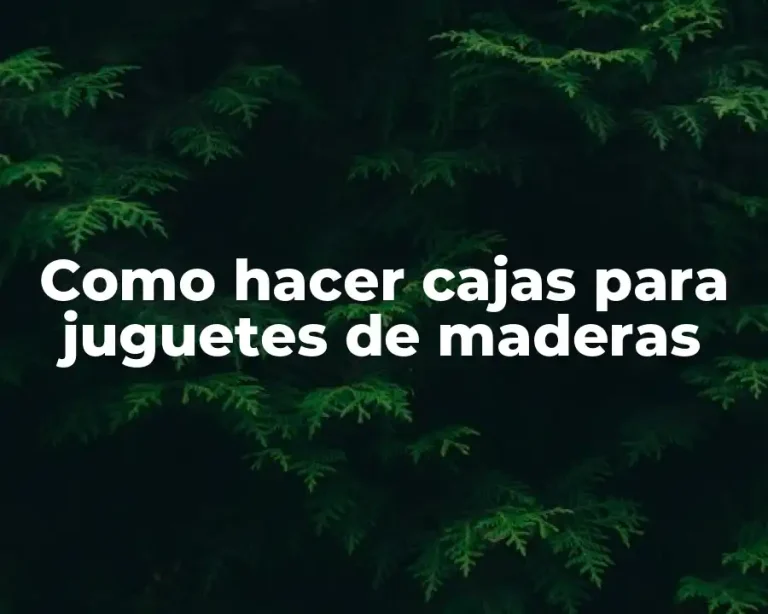 Como hacer cajas para juguetes de maderas