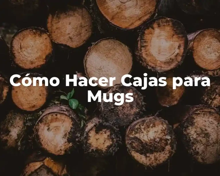 Cómo Hacer Cajas para Mugs